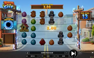 Birds in the City – Free spins