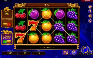 Fortune Joker 20 – Winning spin