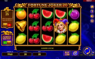 Fortune Joker 20 – Feature in play