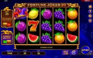Fortune Joker 20 – Feature in play