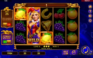 Fortune Joker 20 – Feature in play