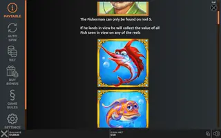 Nice Catch DoubleMax – Game rules