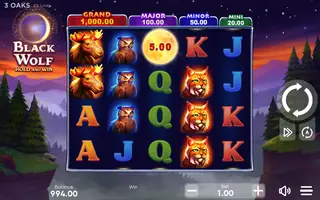 Black Wolf – Feature in play