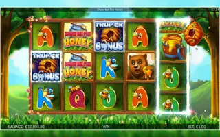 Show Me The Honey – Feature in play