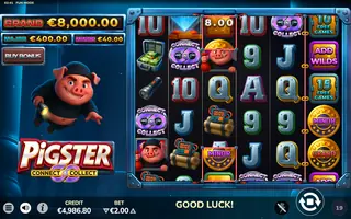 Pigster – Feature in play