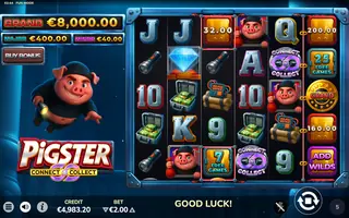 Pigster – Feature in play