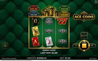 Ace Coins – Winning spin