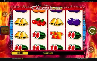 7 S Deluxe Wild Fortune Play – Winning spin
