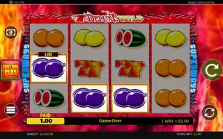 7 S Deluxe Wild Fortune Play – Winning spin