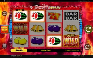 7 S Deluxe Wild Fortune Play – Winning spin