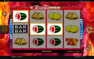 7 S Deluxe Wild Fortune Play – Winning spin