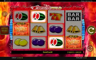 7 S Deluxe Wild Fortune Play – Feature in play