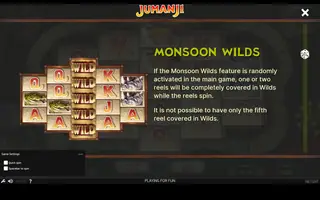 Jumanji – Game rules