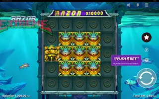 Razor Extreme – Feature in play