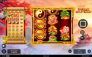 Yin Yang Wild Twins – Feature in play