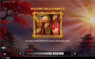 Yin Yang Wild Twins – Game rules