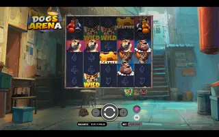 Dogs Arena – Feature in play