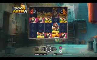 Dogs Arena – Feature in play