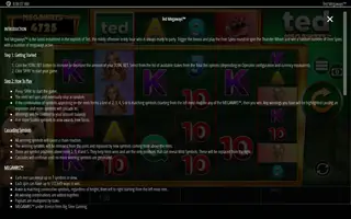 Ted Megaways – Game rules