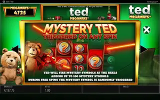 Ted Megaways – Game rules