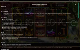 Wish Upon A Jackpot King – Game rules