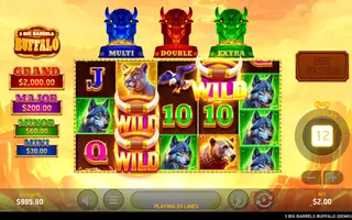 3 Big Barrels Buffalo – Feature in play