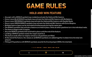 3 Big Barrels Buffalo – Game rules