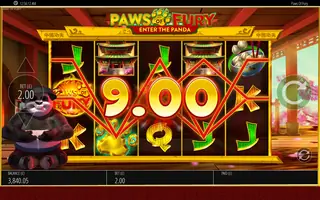 Paws Of Fury – Winning spin