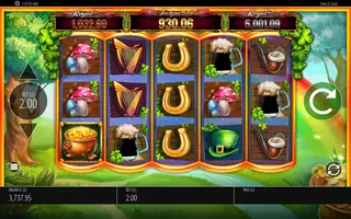 Slots OGold – Base game