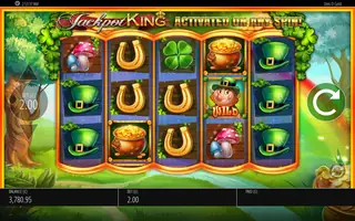 Slots OGold – Feature in play