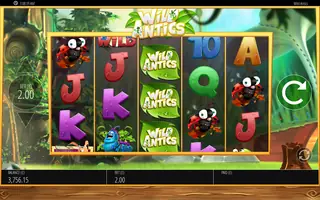Wild Antics – Base game