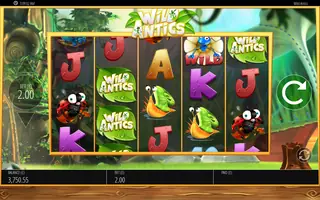 Wild Antics – Feature in play