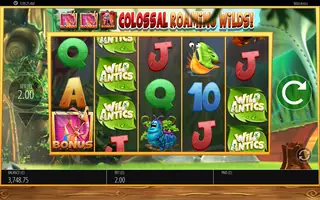 Wild Antics – Feature in play