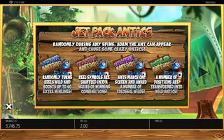 Wild Antics – Game rules