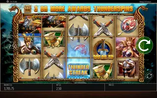 Vikings Of Fortune – Feature in play