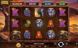 Super Stampede – Base game
