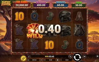 Super Stampede – Feature in play