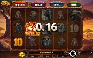 Super Stampede – Feature in play