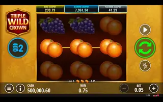 Triple Wild Crown – Winning spin