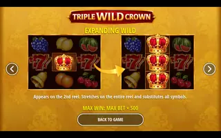 Triple Wild Crown – Game rules