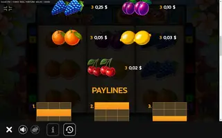 Three Reel Fortune Wilds – Paytable