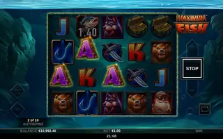 Maximum Fish – Winning spin