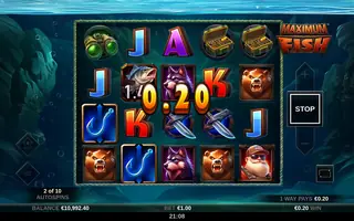 Maximum Fish – Winning spin