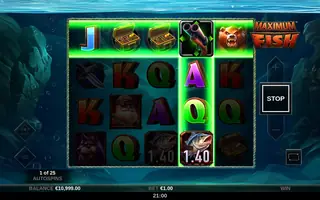 Maximum Fish – Feature in play