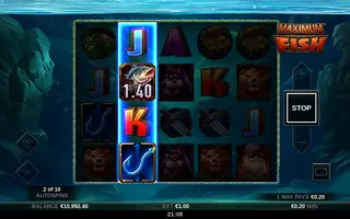 Maximum Fish – Feature in play