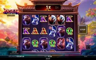 Tiger DoubleMax – Base game