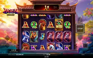 Tiger DoubleMax – Feature in play