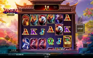 Tiger DoubleMax – Feature in play
