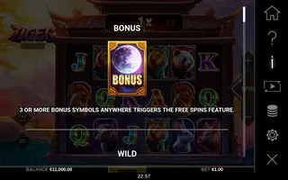 Tiger DoubleMax – Game rules