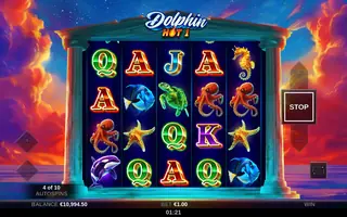 Dolphin Hot 1 – Base game